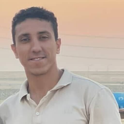 Mohamed Talaat