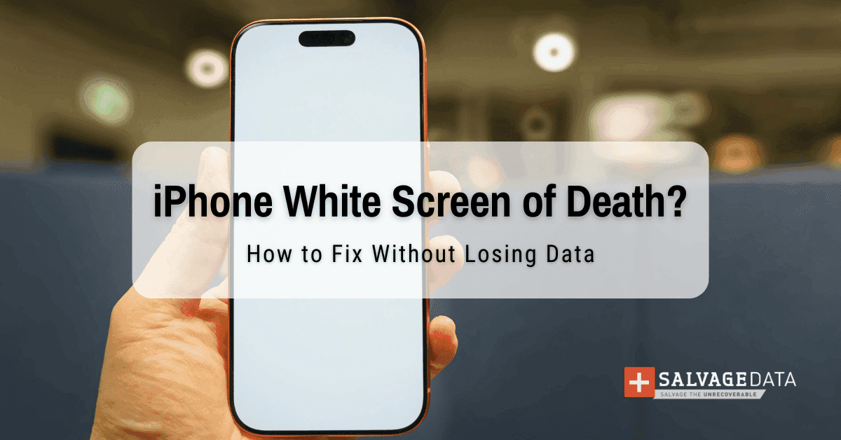 How to Fix iPhone White Screen