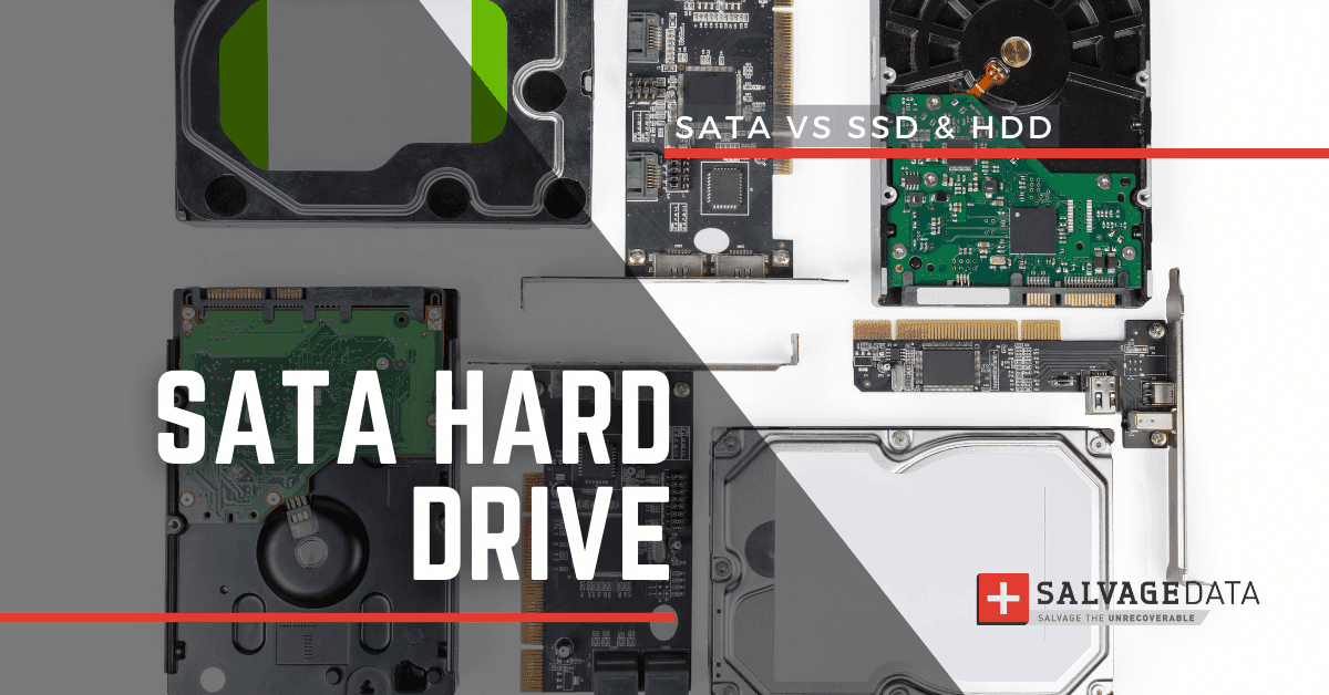 What is a SATA Hard Drive? Full Guide On SATA vs SSD