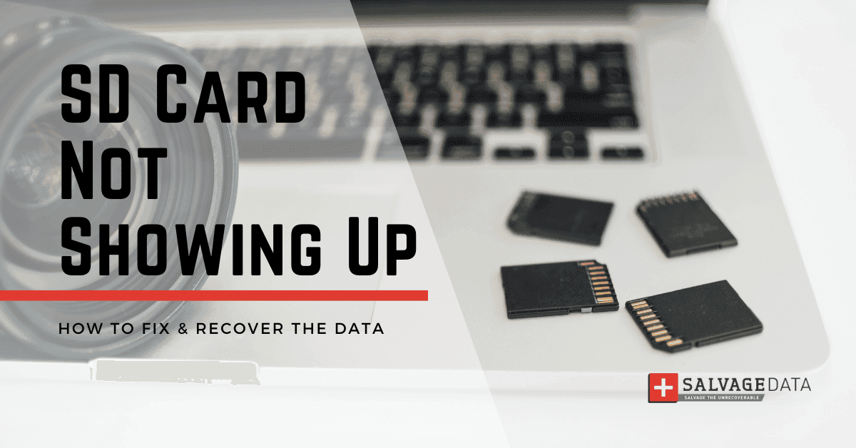 SD Card Not Showing Up: How To Fix & Recover The Data