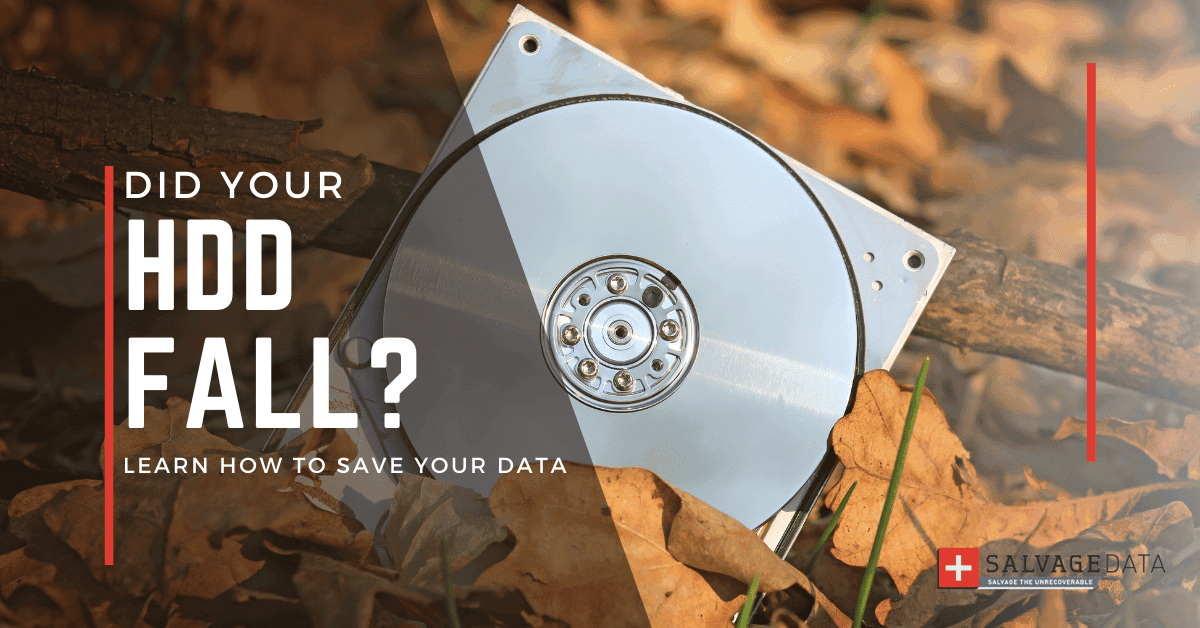 Dropped Hard Drive: What To Do To Save Your Data