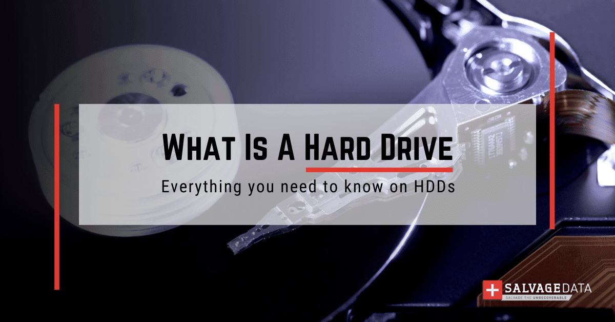 What Is A Hard Drive? The Ultimate Guide
