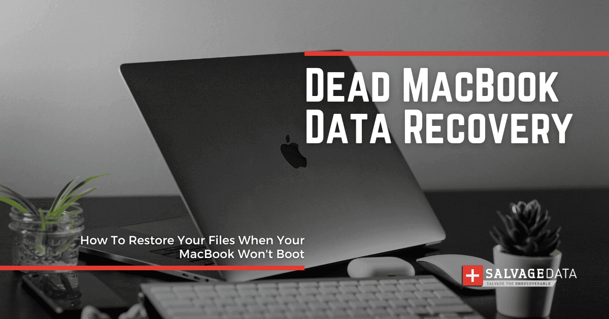 MacBook Pro/Air Dead? Immediate Solutions To Save Your Files