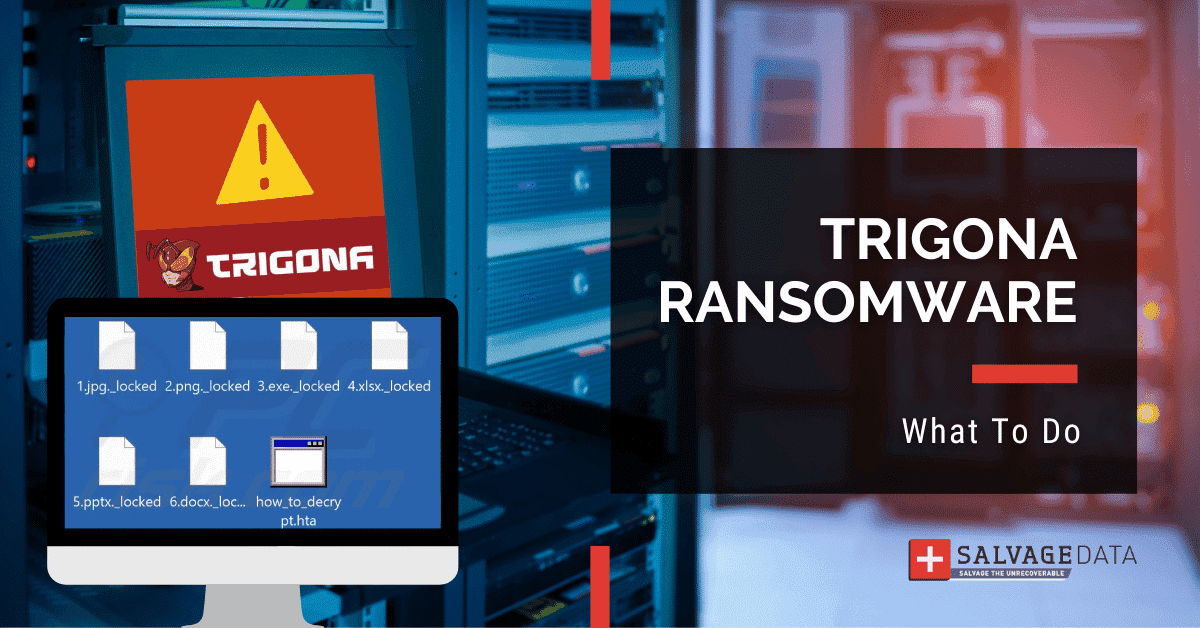 Trigona Ransomware: Complete Guide
