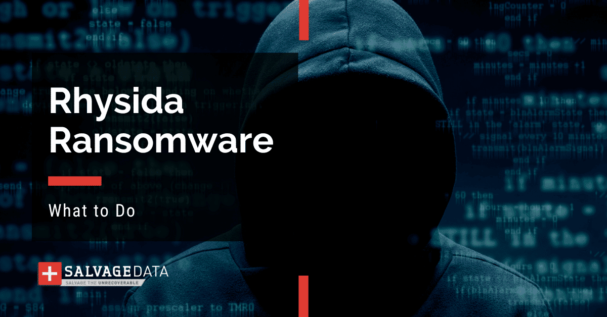Rhysida Ransomware: The Complete Guide