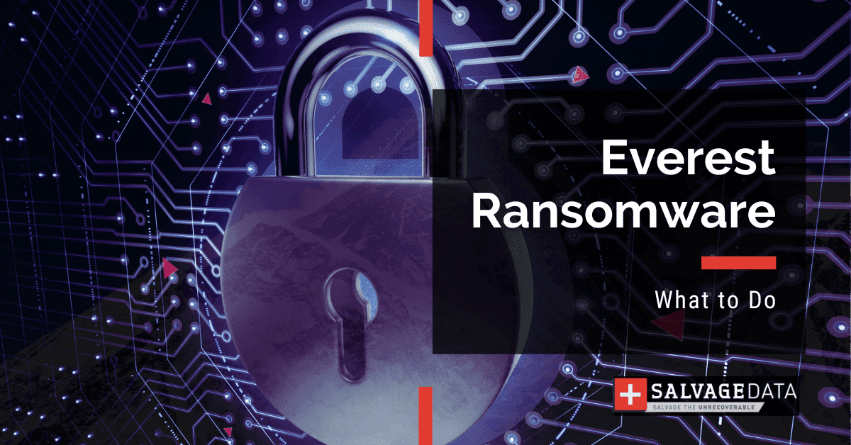 Everest Ransomware: Complete Guide