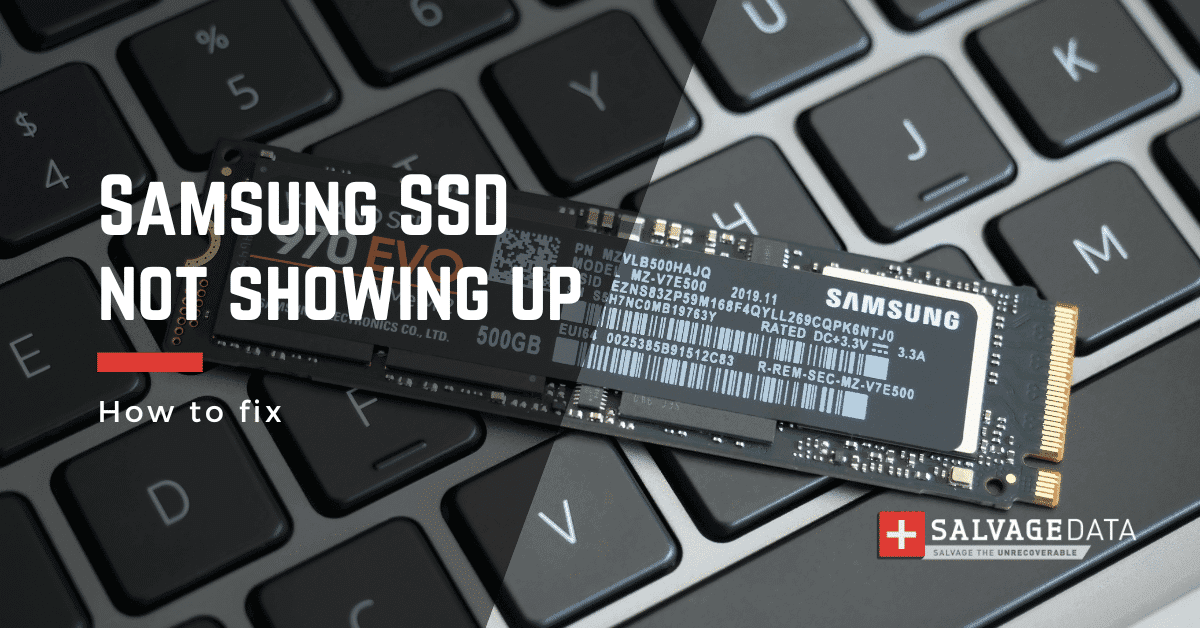 Solved: Samsung SSD Not Showing up on Windows