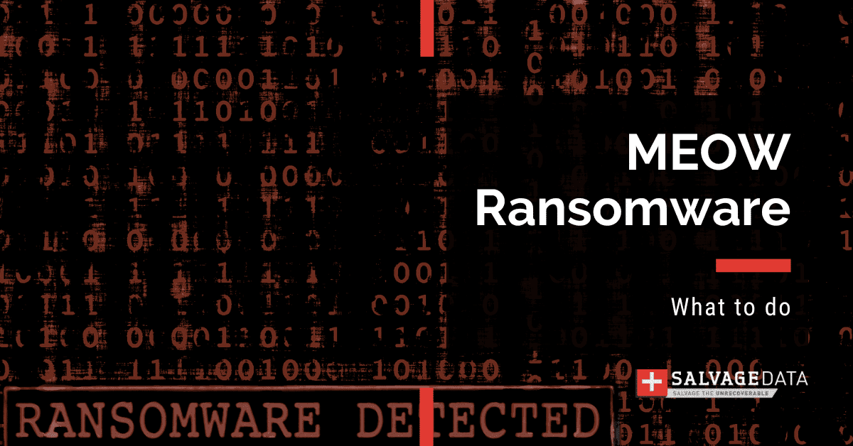MEOW Ransomware: Complete Guide