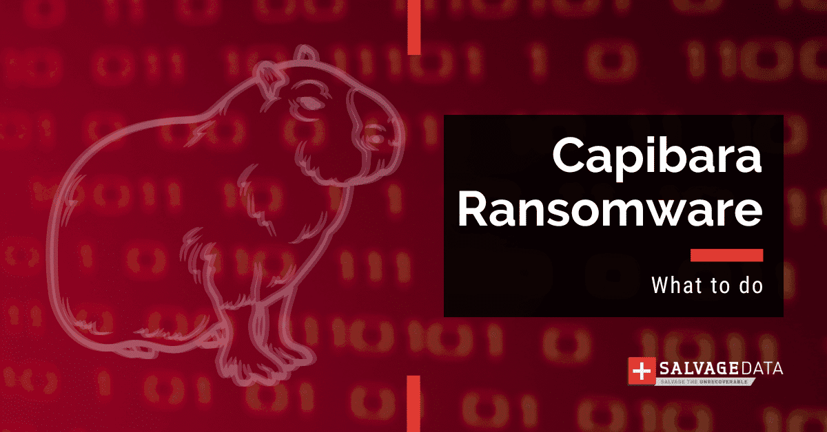 Capibara Ransomware: What is it & How to Remove
