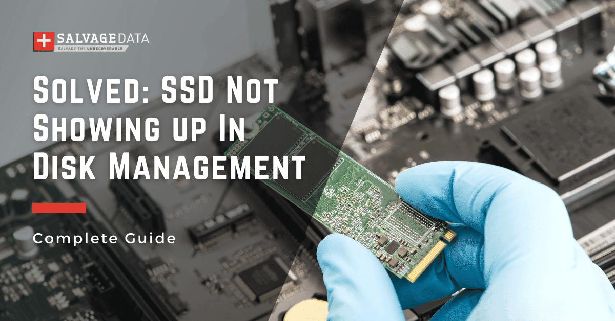 How to fix SSD Not Showing up In Disk Management Windows 10 & 11