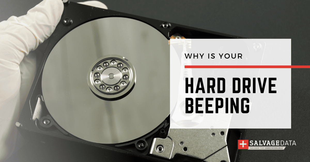 dok Ib krig Why Is Your External Hard Drive Beeping? - SalvageData Recovery