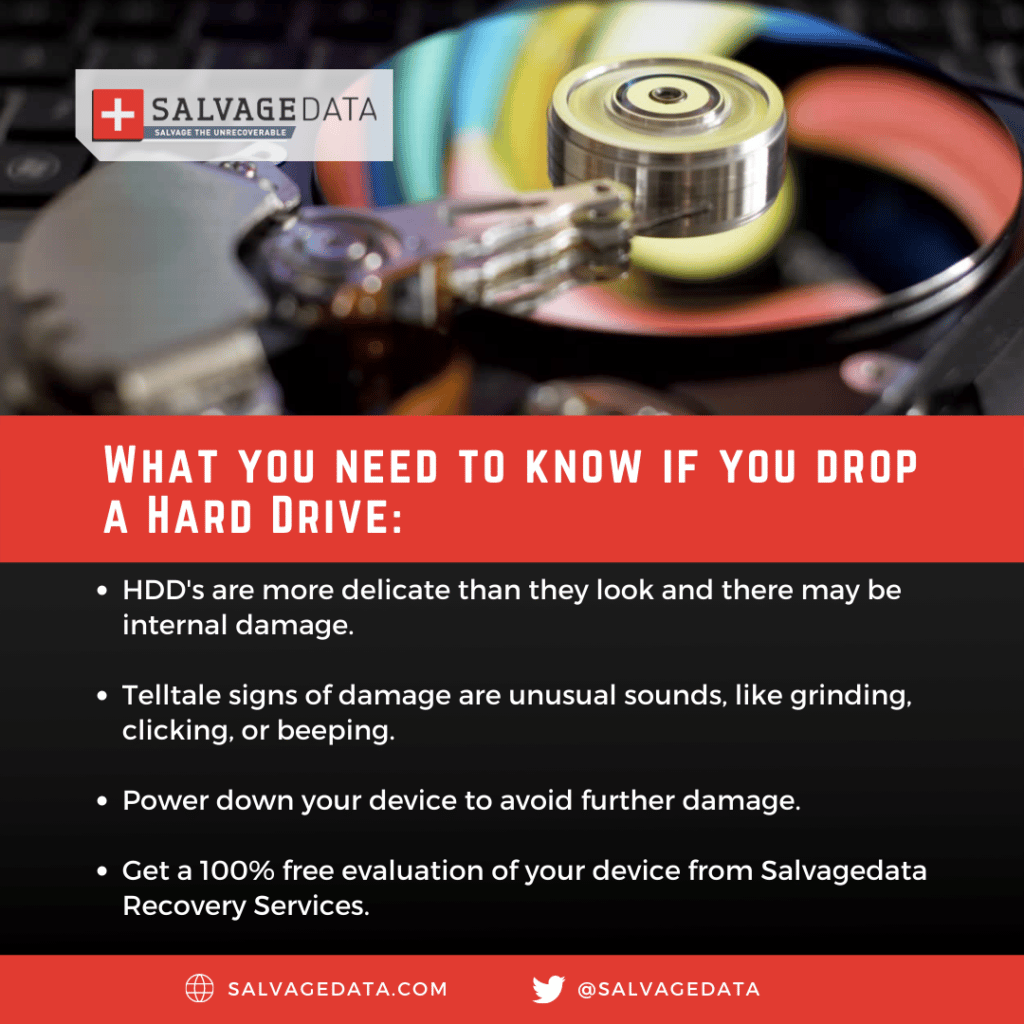 prevent data loss from dropped hard drive infographic _ SalvageData Recovery