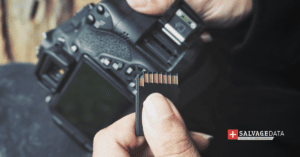 What are SD cards used for?
