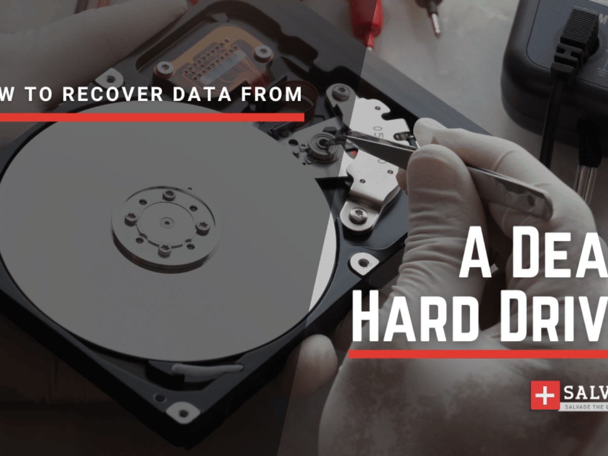 Pløje Kammerat Gamle tider How To Recover Data From A Dead Hard Drive - SalvageData Recovery