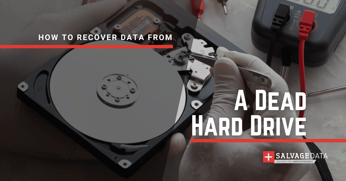 ejer Luksus Udvidelse How To Recover Data From A Dead Hard Drive - SalvageData Recovery