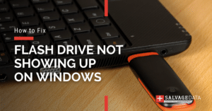 How to Fix: USB Drive Not Showing Up on Windows