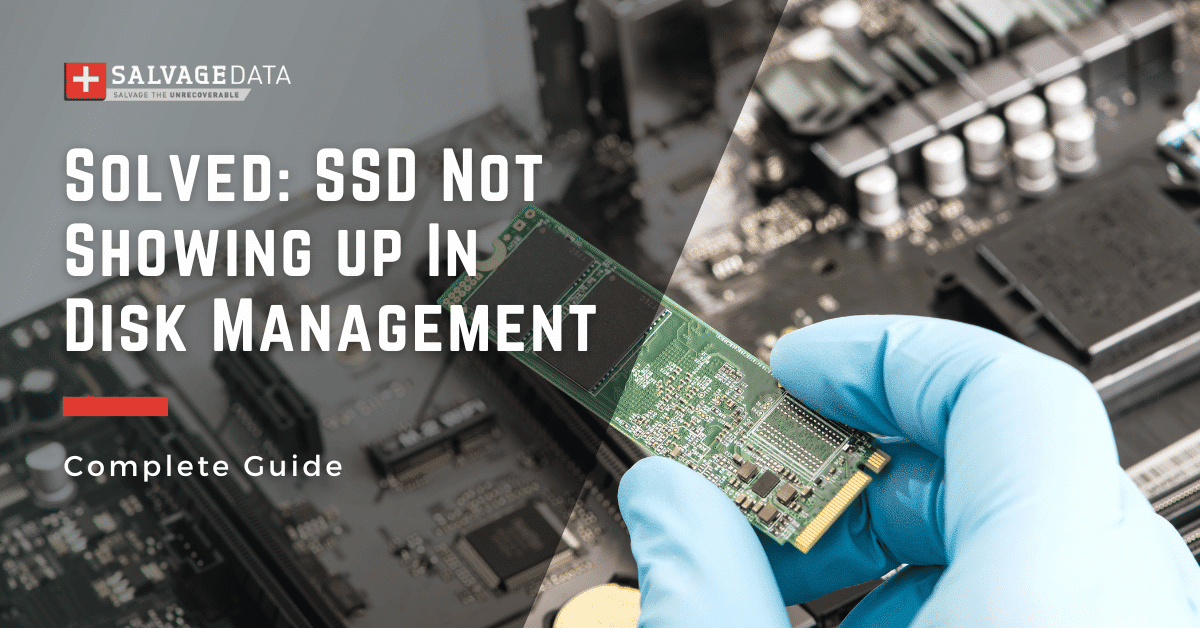 SSD Not Showing up In Disk Management - Solutions for Windows 10 & 11
