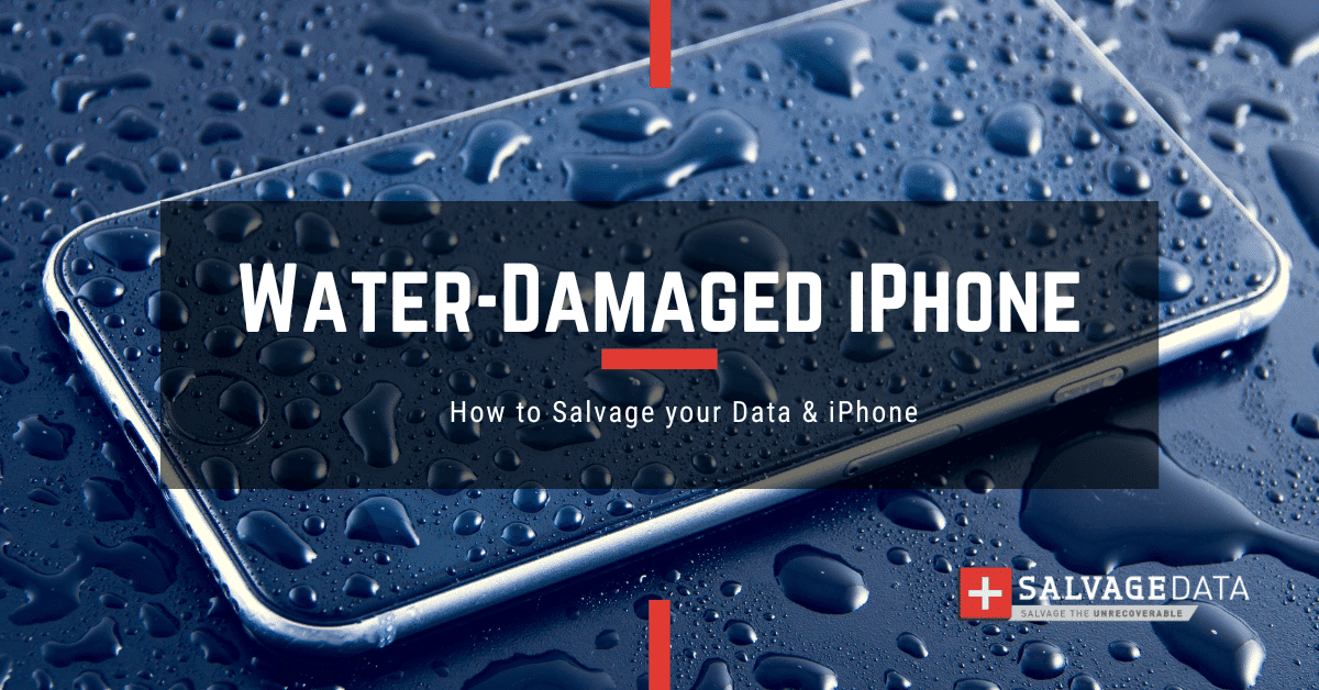 Water-Damaged iPhone How to Recover Data & Save Your Phone