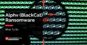 Alphv (BlackCat) Ransomware: What It Is & How to Prevent