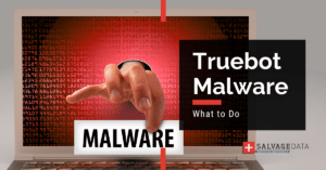 Truebot Malware: Complete Guide 