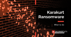 Karakurt Ransomware: Everything About The Extortion Group